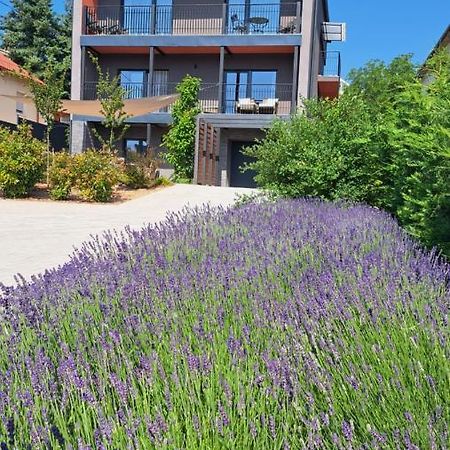 Profi Kecó Apartman Balatonalmádi Exterior foto